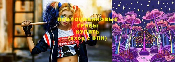 стаф Мегион
