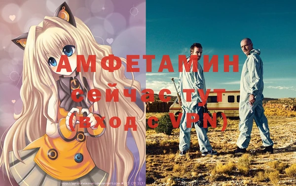 стаф Мегион