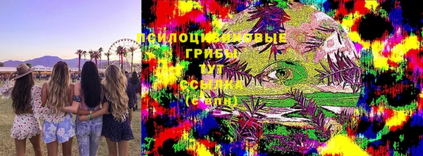 стаф Мегион