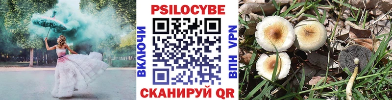 Псилоцибиновые грибы GOLDEN TEACHER наркотики Рязань