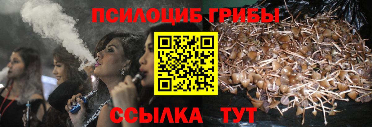 Псилоцибиновые грибы Cubensis  Вход с VPN  Рязань 
